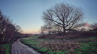 The heath is a great spot for trail running, whatever the time of day