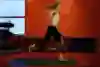 Demonstration of a jumping lunge – step 3 is to switch legs in the air..