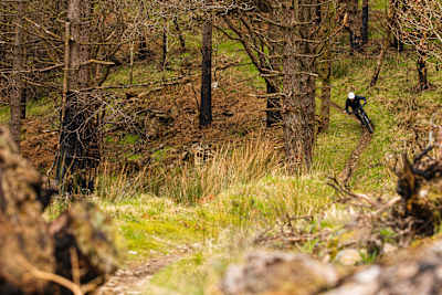 Afan Forest Park mtb trails