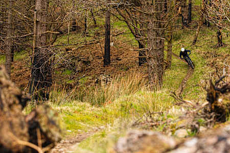 Afan Forest Park mtb trails