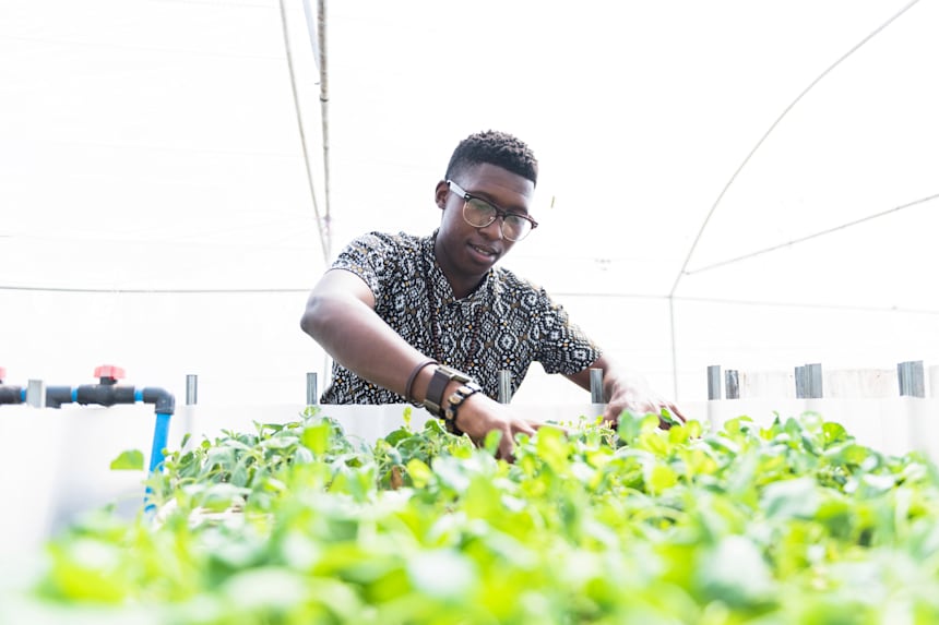 Aquaponics Farming Enterprise In South Africa Profile
