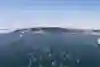 Swimmers compete in the 27th annual Bosphorus Cross-Continental Swimming Race organized by the Turkish Olympic Committee in Istanbul, Turkey on July 26, 2015