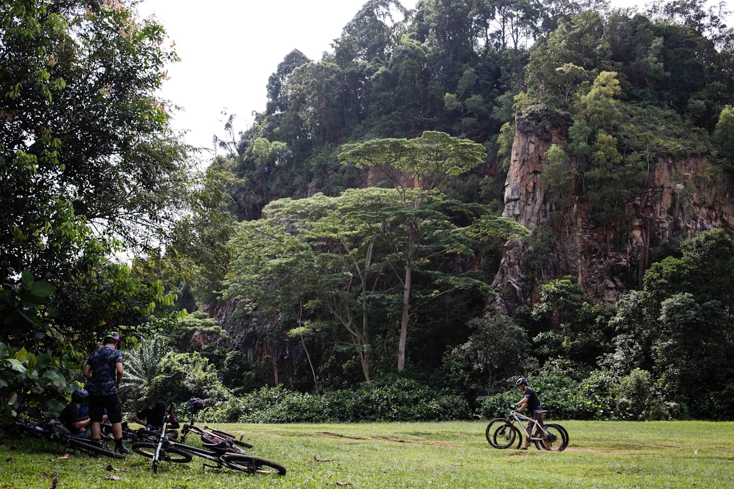 bukit timah mountain bike trail