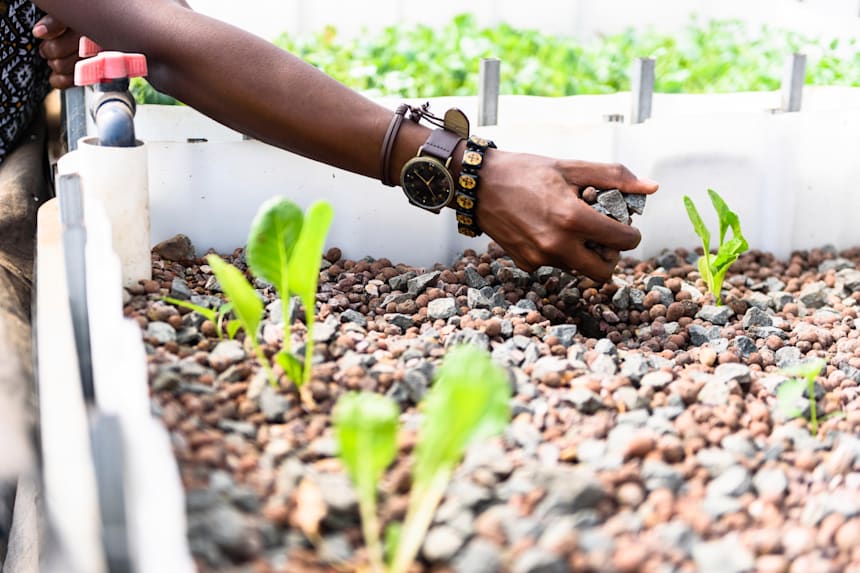 Aquaponics Farming Enterprise In South Africa Profile
