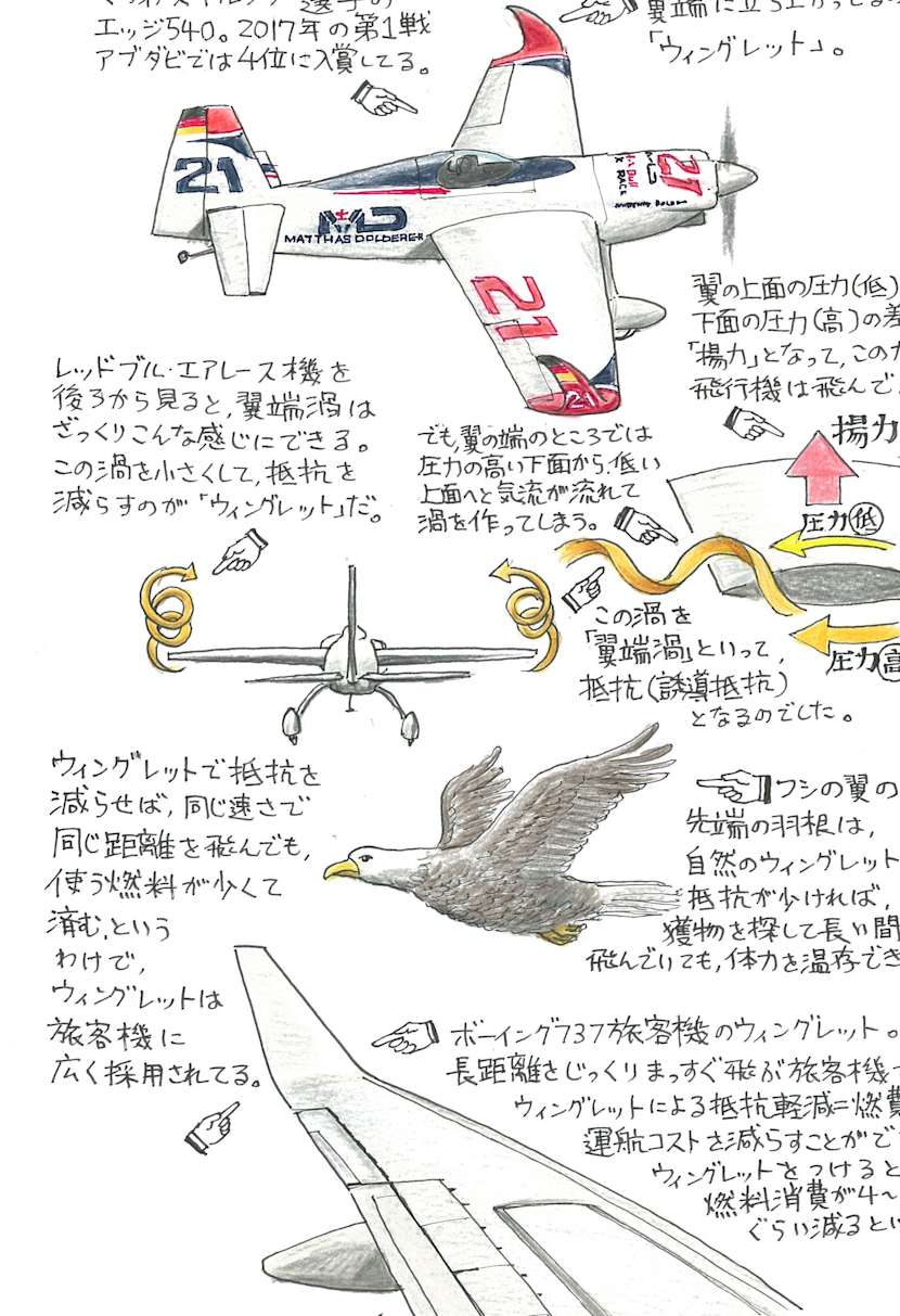 オタク目線コラム 翼端にある小さなハネの大きな秘密