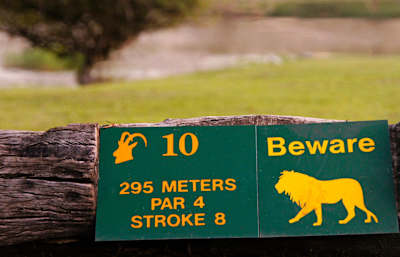 Kruger National Park's Skukuza golf course is a little on the wild side