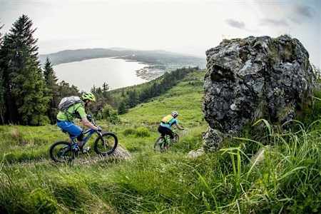 Rostrevor mountain bike trail
