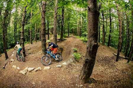 Barnetts Demesne Mountain Bike Trail