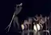 A photo of James Brown performing live in the late '60s.