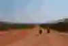 Pedalling along a dirt road in Brazil