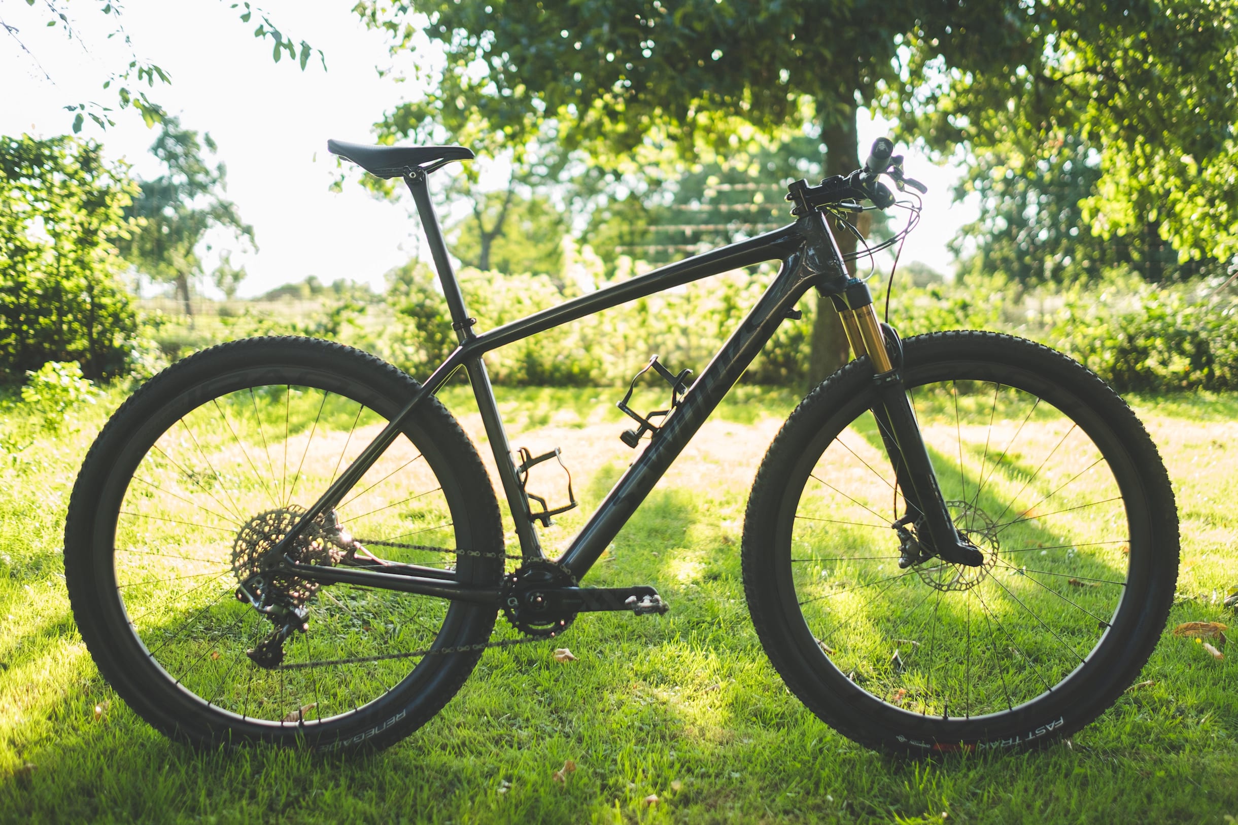 Una bici hardtail con un fondo verde