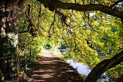 The Thames isn't all skyscrapers and tourists...