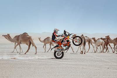 Going against the train: Sam passes some of the local camels in Dubai.