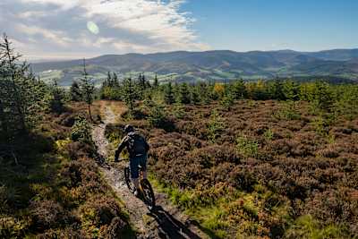 Mountain biker riding in Glentress Forest, Scotland