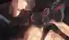 Vi de League of Legends.