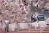 Karsten Warholm competes during Bislett Games in Oslo, Norway in 2023