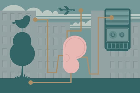 Cloud rap producer Clams Casino sampled nightingales on his classic track All Nite.