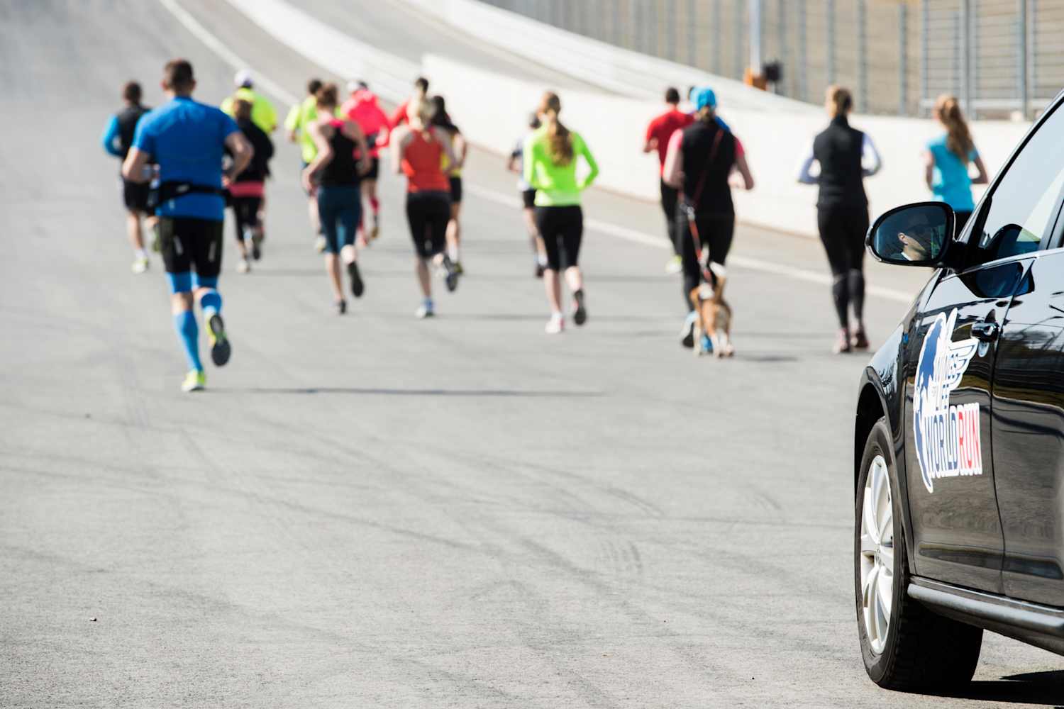 Wings for Life World Run 2014 síguela en directo