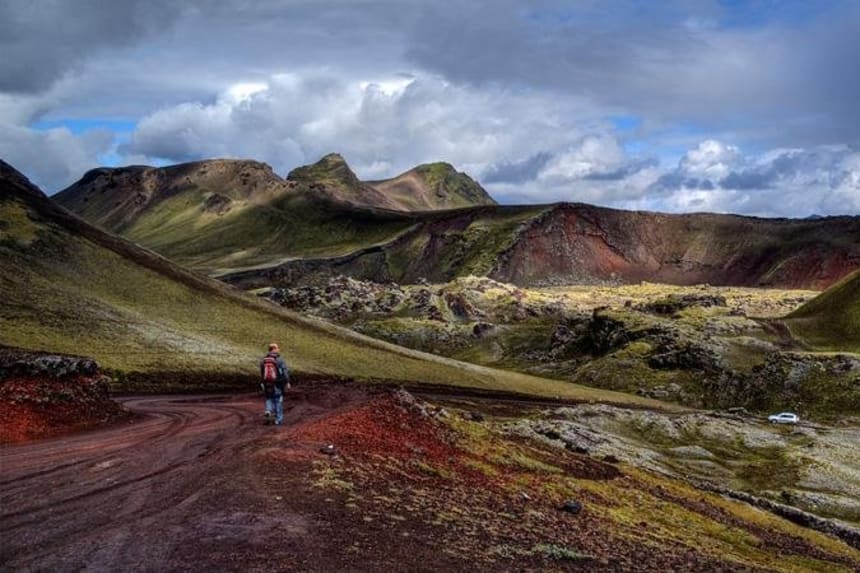 Ave De Crista Vermelha E Rabo Com Longas Penas Coloridas As 101 Melhores Experiencias De Viagem Do Mundo