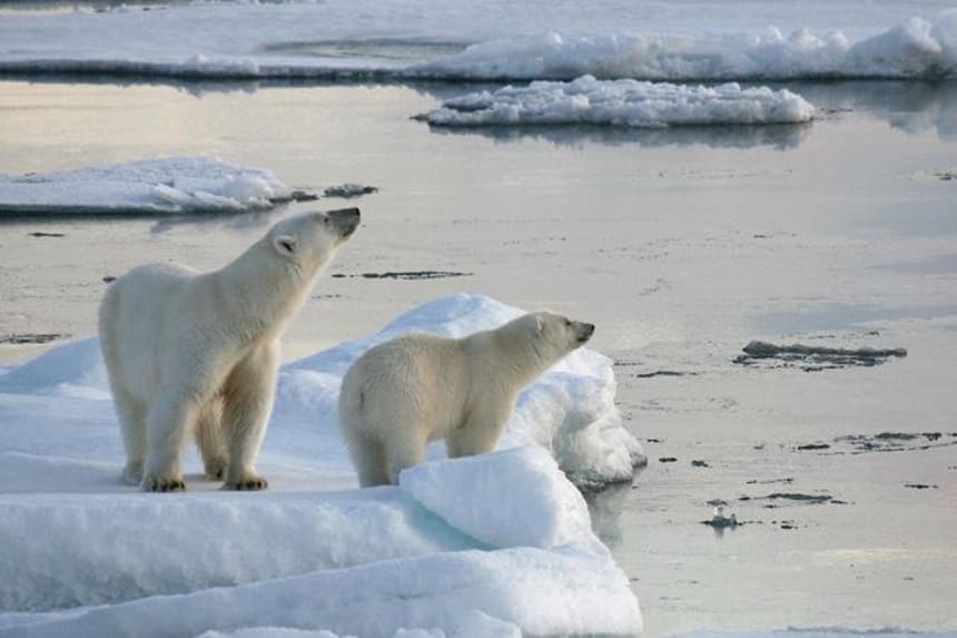 Travel Bucket List 101 Best Adventures In The World According to the guardian , russian academy of sciences senior researcher anatoly kochnev told. travel bucket list 101 best adventures