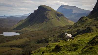 Montanhas e cabras na ilha de Skye, na Escócia.