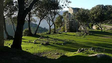 Old fortress the Castell d’Alaró, Majorca.