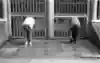 Pushing on a skateboard hyperextends your Achille’s tendon in a way even sprinting does not and a pulled one is an extremely difficult niggle to shift.
