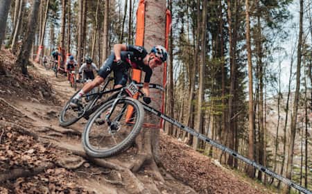 Beginner deals mtb races