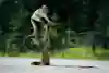 Lars Forster performs a bunny hop on a training ride in Switzerland.