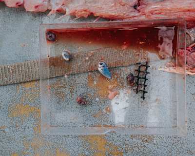 Basura encontrada bajo el agua durante el proyecto The Vortex Swim.