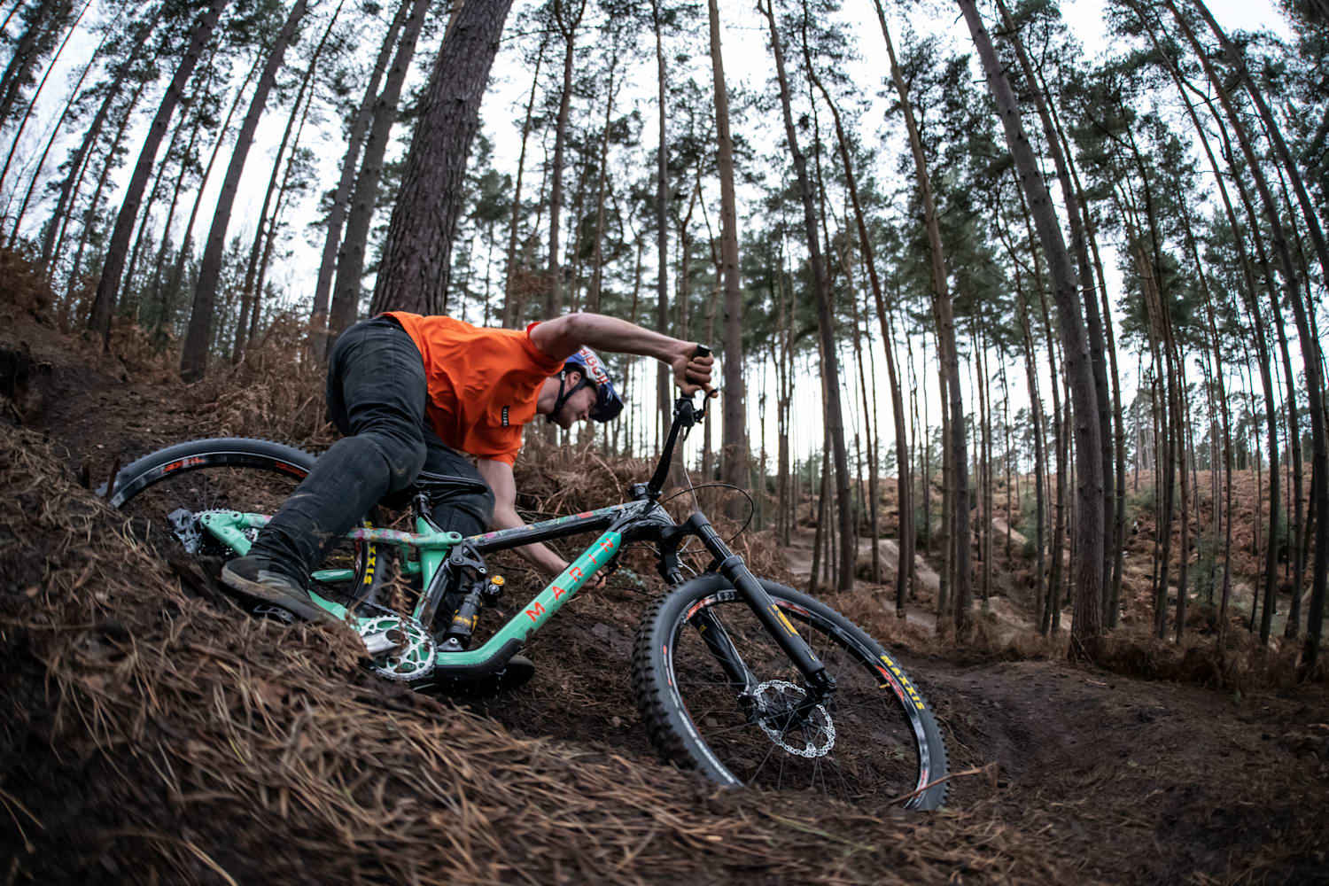best light trail bike