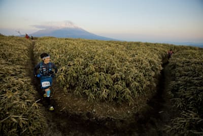 Running among the fields