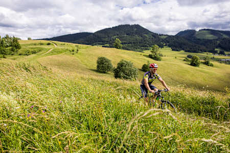 Stefan Svitko fährt durch eine grüne, idyllischen Landschaft. 