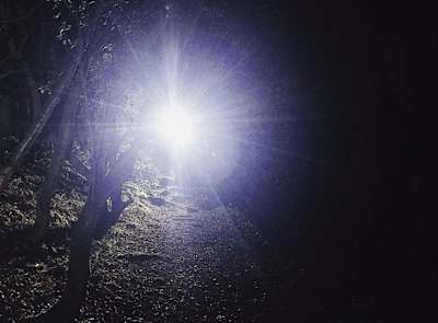 Zawodnik MTB z nocnym oświetleniem w lesie.