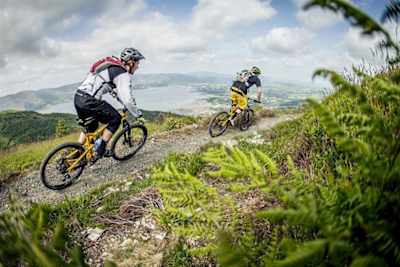 Rostrevor MTB trails.jpg