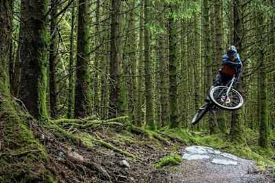 Davagh Forest Trails