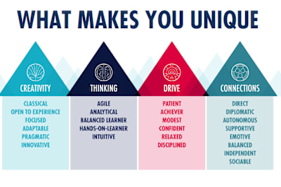 Un gráfico que muestra los rasgos de personalidad del Red Bull Wingfinder.