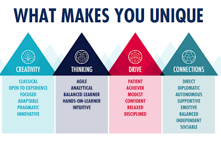 A graphic showing the Red Bull Wingfinder personality traits