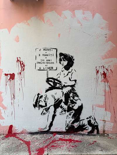 Lucrările lui Orhan aduc alte persective asupra societății