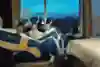 Team GIT pose with a Swedish flag in a hotel suite during Red Bull Can You Make It? 2018