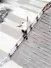 SI201912030059