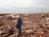 Meteorologist and civil engineer Tim Marshall surveys the remains of a residential neighborhood that was entirely flattened by the tornado 21 May 2013.