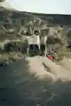 Fabio Wibmer's Crew from his 2022 Video Game edit.