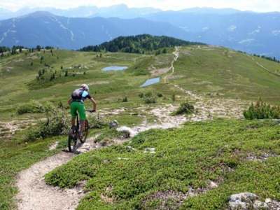 Mountainbiker fährt den Hühnerspiel-Trail im Tauferer Ahrntal.