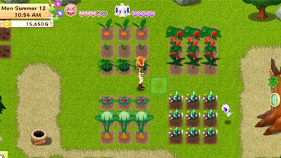 Immer schön in Neuner-Feldern anbauen!