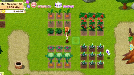 Immer schön in Neuner-Feldern anbauen!