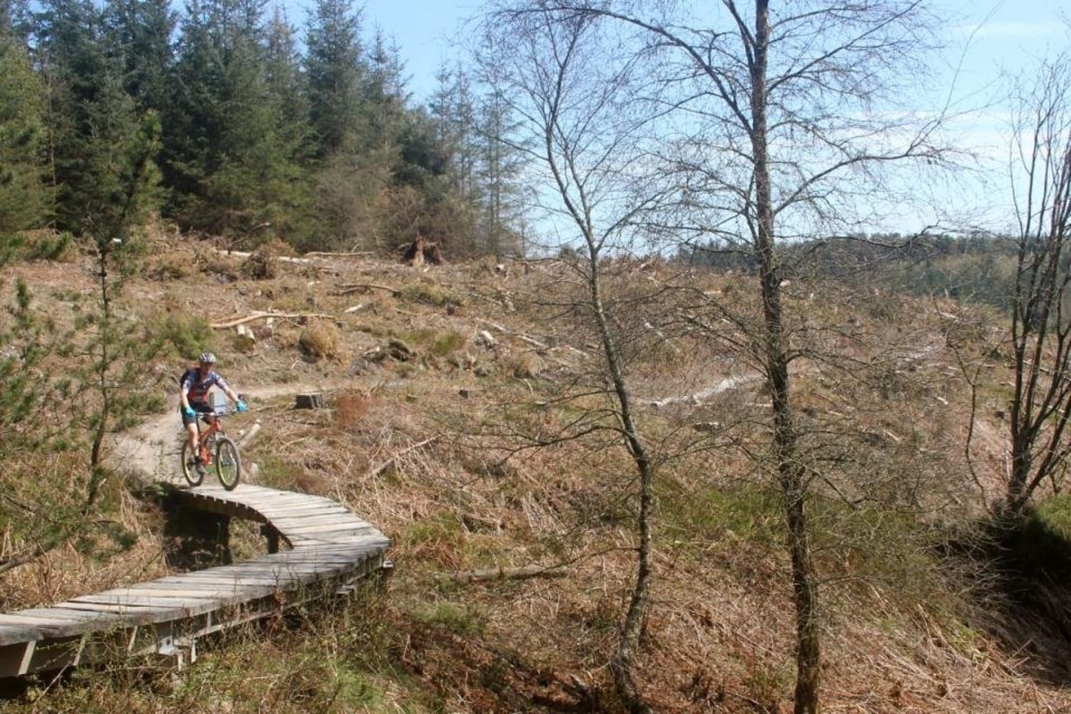 dalby forest cycle hub