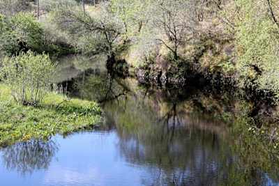 Lively currents will give you a boost as you head downstream