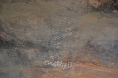 As pinturas têm cerca de 9000 anos de idade e estão nos Abrigos na Rocha de Bhimbetka
