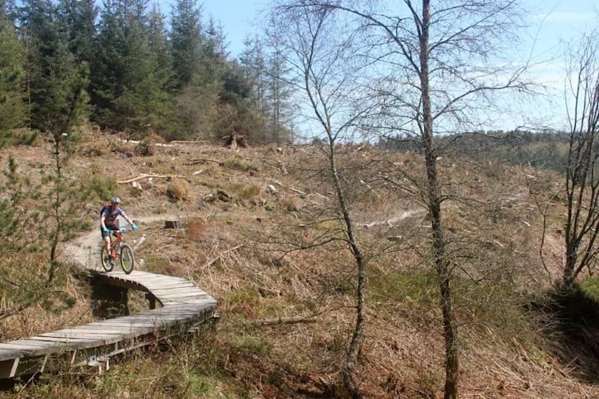 Dalby Forest Everything you need to know